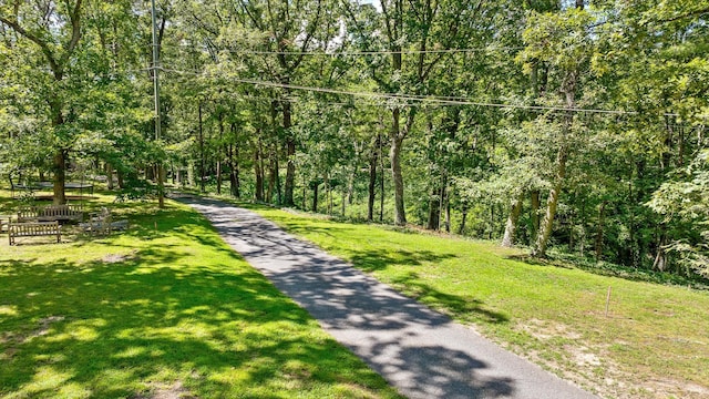 891 Fleetwood Dr, Lookout Mountain, TN 37350 - photo 25