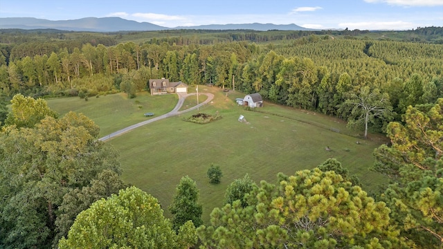 422 Palisade Way, Cohutta, GA 30710 - photo 60