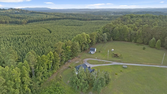 422 Palisade Way, Cohutta, GA 30710 - photo 64