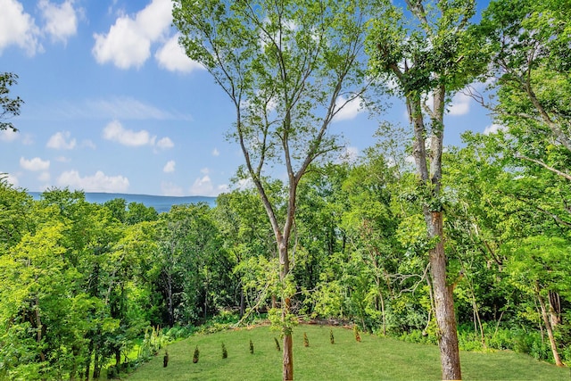 6577 Fairview Rd, Hixson, TN 37343 - photo 4