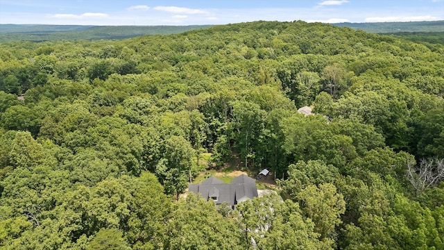 2775 Edwards Point Rd, Signal Mountain, TN 37377 - photo 39