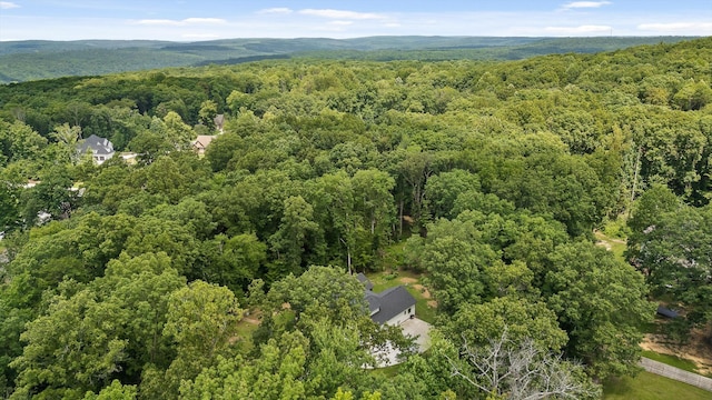 2775 Edwards Point Rd, Signal Mountain, TN 37377 - photo 40