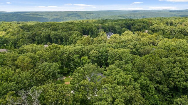 2775 Edwards Point Rd, Signal Mountain, TN 37377 - photo 41