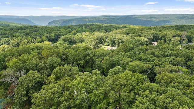 2775 Edwards Point Rd, Signal Mountain, TN 37377 - photo 42
