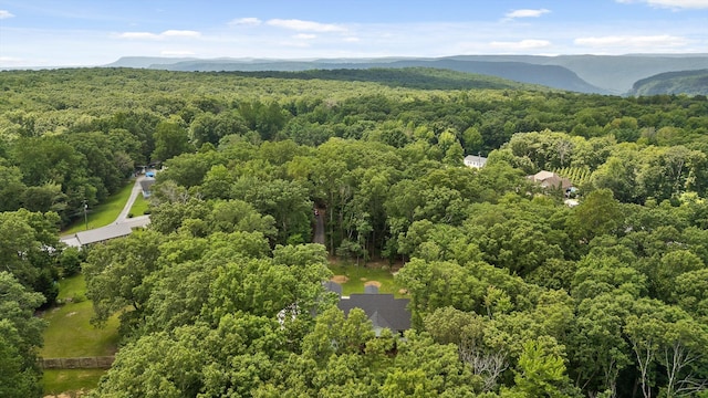 2775 Edwards Point Rd, Signal Mountain, TN 37377 - photo 43