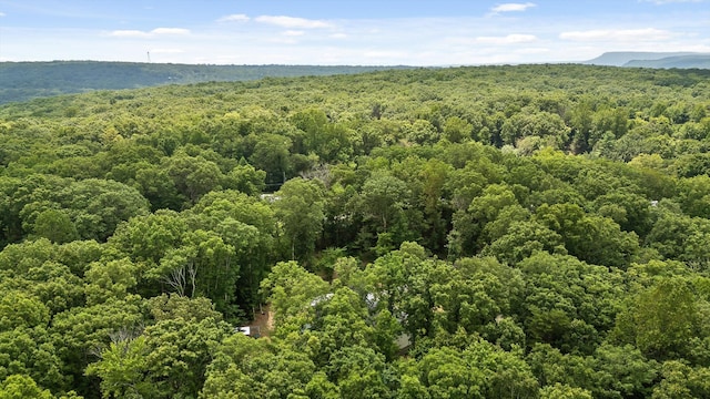 2775 Edwards Point Rd, Signal Mountain, TN 37377 - photo 44