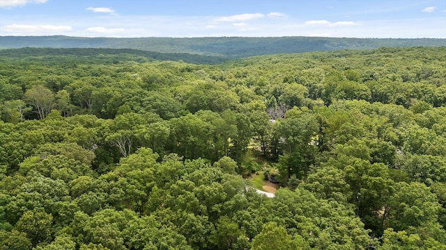 2775 Edwards Point Rd, Signal Mountain, TN 37377 - photo 45