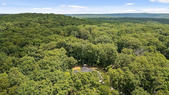 2775 Edwards Point Rd, Signal Mountain, TN 37377 - photo 46