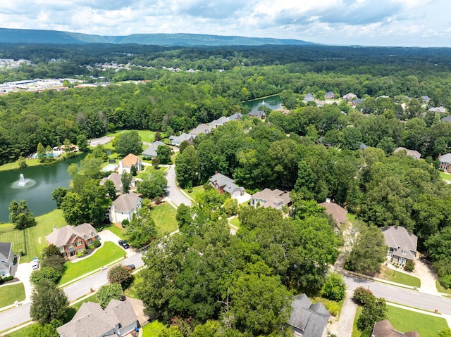 6724 St Clair Way, Hixson, TN 37343 - photo 54