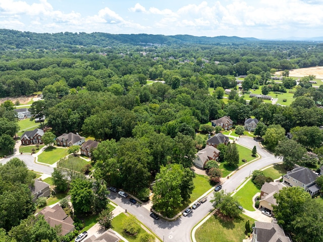 6724 St Clair Way, Hixson, TN 37343 - photo 55