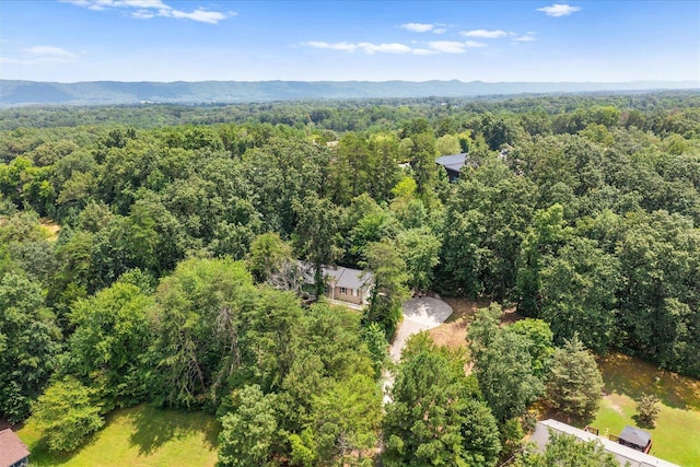 128 Harbour Ln, Ringgold, GA 30736 - photo 36