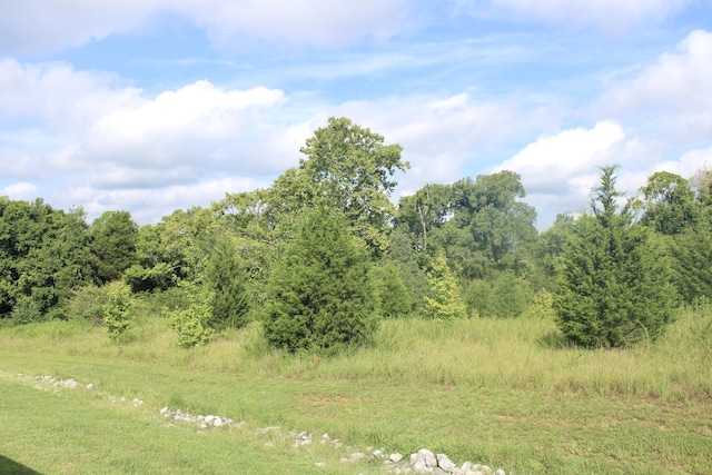 118 Roaming Fawn, Rockwood, TN 37854 - photo 2