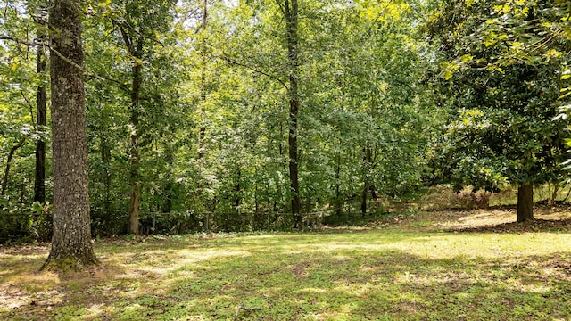 840 SE Forest Dr, Cleveland, TN 37323 - photo 11