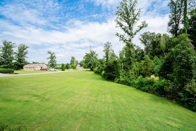 89 Arrowhead Dr, Chatsworth, GA 30705 - photo 56