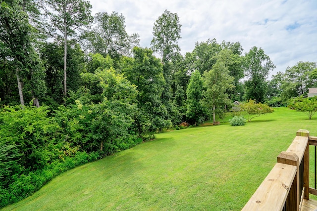 89 Arrowhead Dr, Chatsworth, GA 30705 - photo 57
