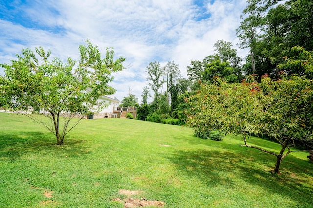 89 Arrowhead Dr, Chatsworth, GA 30705 - photo 62