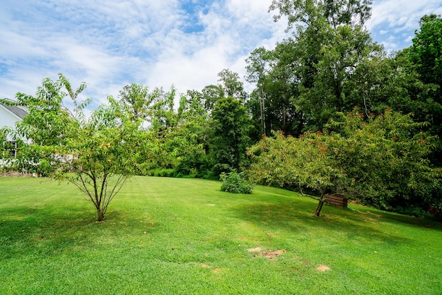 89 Arrowhead Dr, Chatsworth, GA 30705 - photo 63