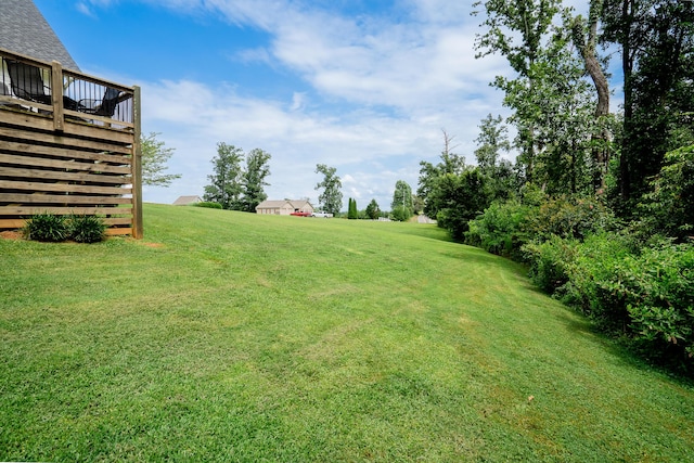 89 Arrowhead Dr, Chatsworth, GA 30705 - photo 64