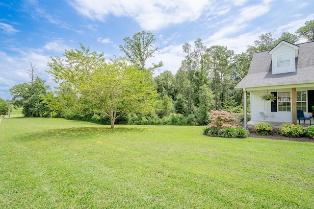 89 Arrowhead Dr, Chatsworth, GA 30705 - photo 73