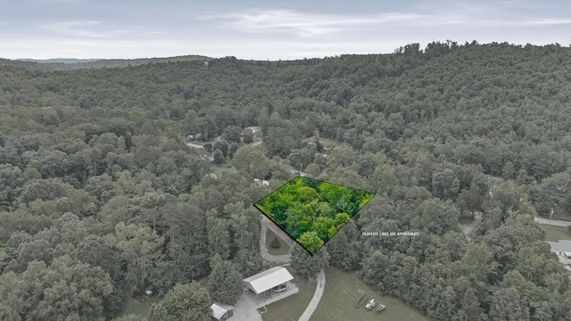 195 Crisp Ln, Decatur, TN 37322 - photo 6