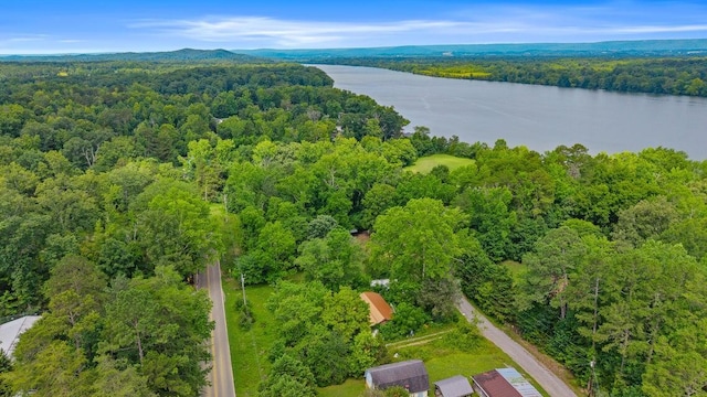 195 Crisp Ln, Decatur, TN 37322 - photo 2