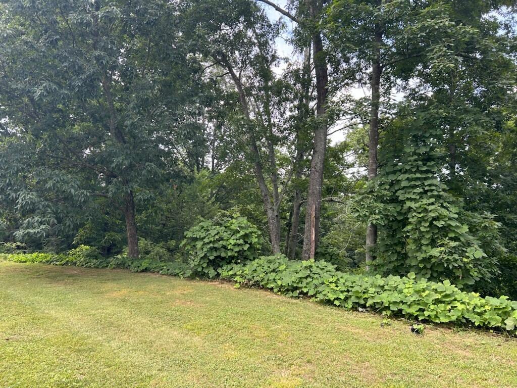 0 Mount View Dr Lot # 21, Tunnel Hill, GA 30755 - photo 1