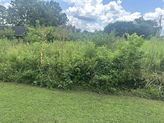 459 S Walnut St, Whitwell, TN 37397 - photo 2