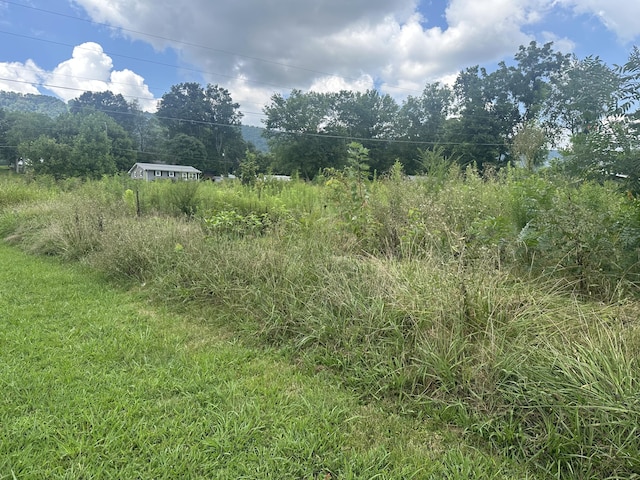 459 S Walnut St, Whitwell, TN 37397 - photo 5