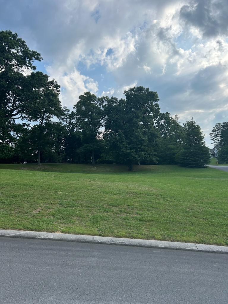 0 Fieldstone Dr Lot # 1, Tunnel Hill, GA 30755 - photo 1