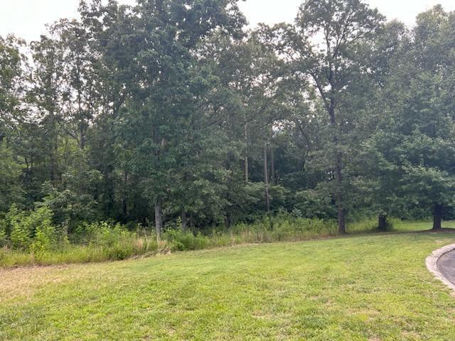 0 Dockwell Dr Lot # 10, Tunnel Hill, GA 30755 - photo 2