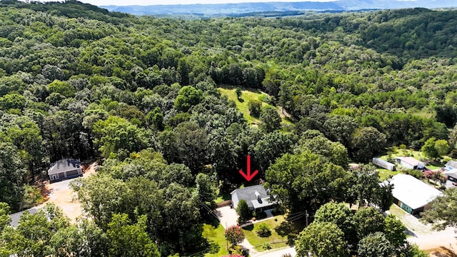 10908 Possum Trail Rd, Harrison, TN 37341 - photo 46