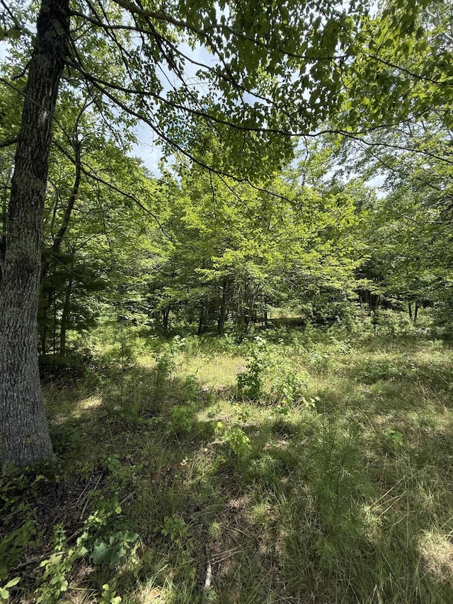 6-C Greenfields Way N, Dunlap, TN 37327 - photo 3