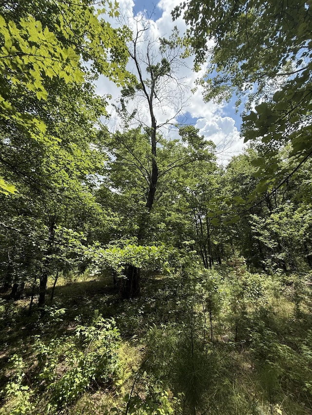 6-C Greenfields Way N, Dunlap, TN 37327 - photo 4