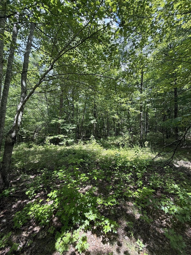 6-C Greenfields Way N, Dunlap, TN 37327 - photo 5