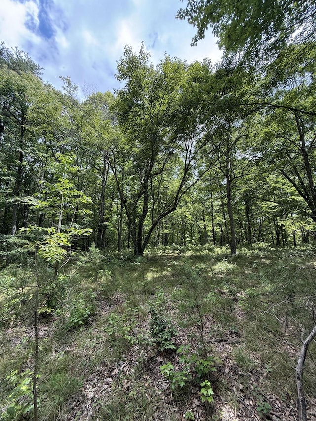 6-C Greenfields Way N, Dunlap, TN 37327 - photo 6