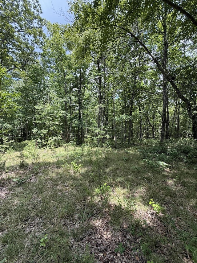 6-C Greenfields Way N, Dunlap, TN 37327 - photo 7