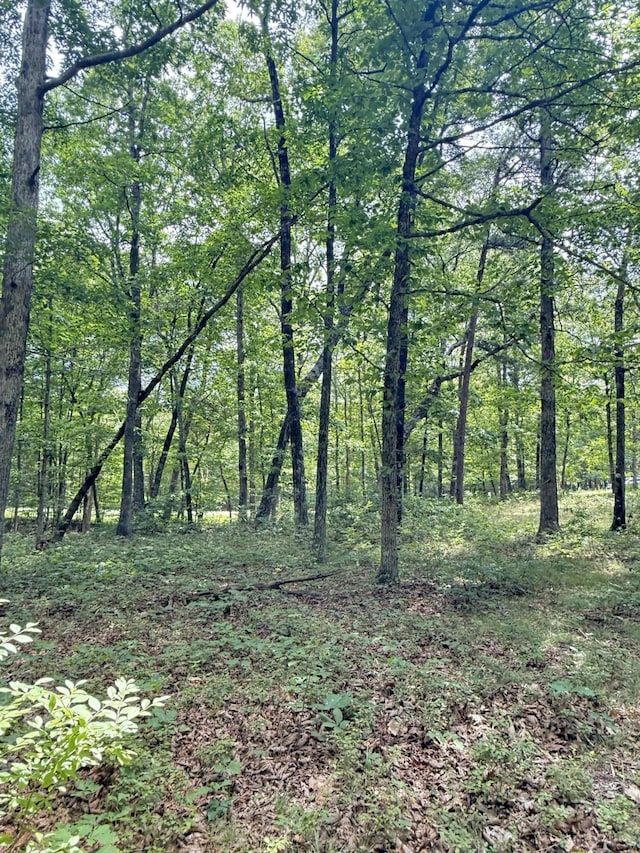 6-C Greenfields Way N, Dunlap, TN 37327 - photo 10