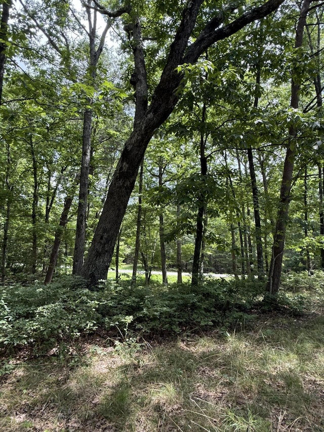 6-C Greenfields Way N, Dunlap, TN 37327 - photo 11