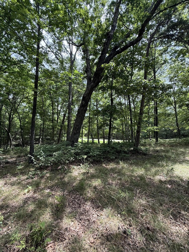 6-C Greenfields Way N, Dunlap, TN 37327 - photo 12