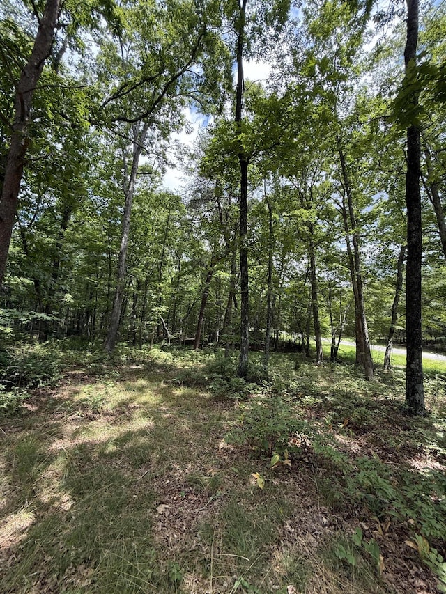 6-C Greenfields Way N, Dunlap, TN 37327 - photo 13