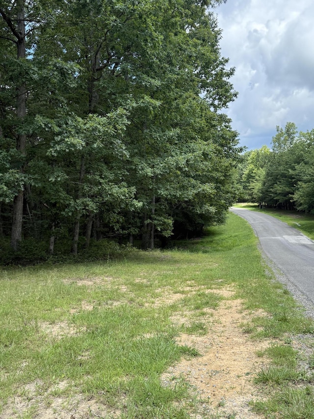 6-C Greenfields Way N, Dunlap, TN 37327 - photo 15