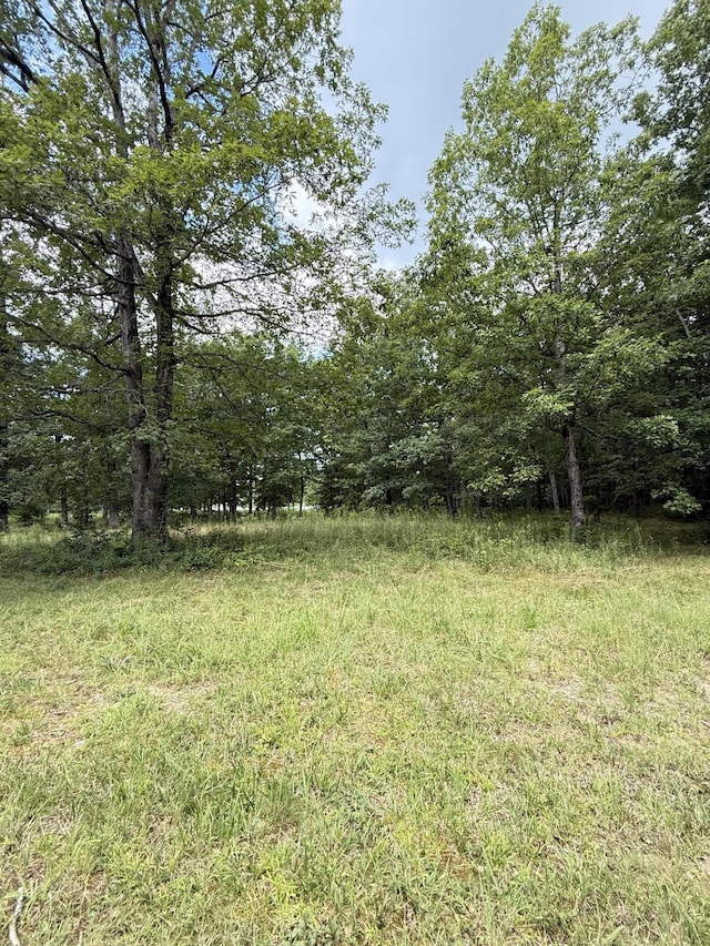 6-C Greenfields Way N, Dunlap, TN 37327 - photo 8