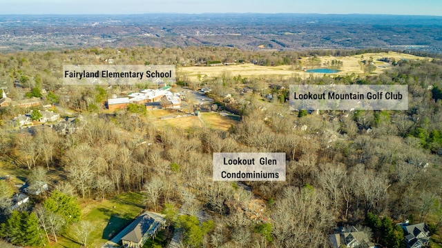 401 Mcfarland Rd # 4, Lookout Mountain, GA 30750 - photo 5