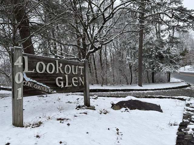 401 Mcfarland Rd # 4, Lookout Mountain, GA 30750 - photo 42