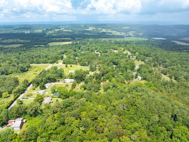 183 Gamble Rd, Georgetown, TN 37336 - photo 37
