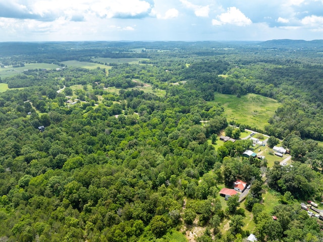 183 Gamble Rd, Georgetown, TN 37336 - photo 38