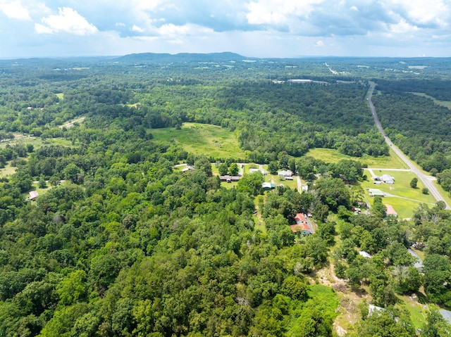 183 Gamble Rd, Georgetown, TN 37336 - photo 39
