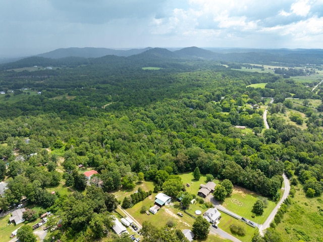 183 Gamble Rd, Georgetown, TN 37336 - photo 40