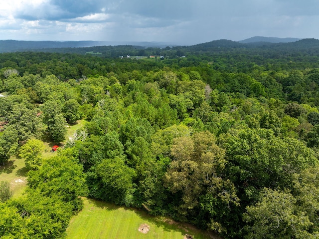 183 Gamble Rd, Georgetown, TN 37336 - photo 41