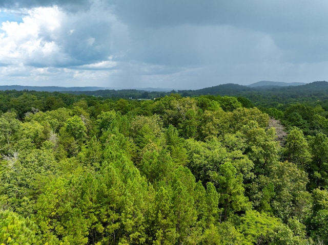 183 Gamble Rd, Georgetown, TN 37336 - photo 42